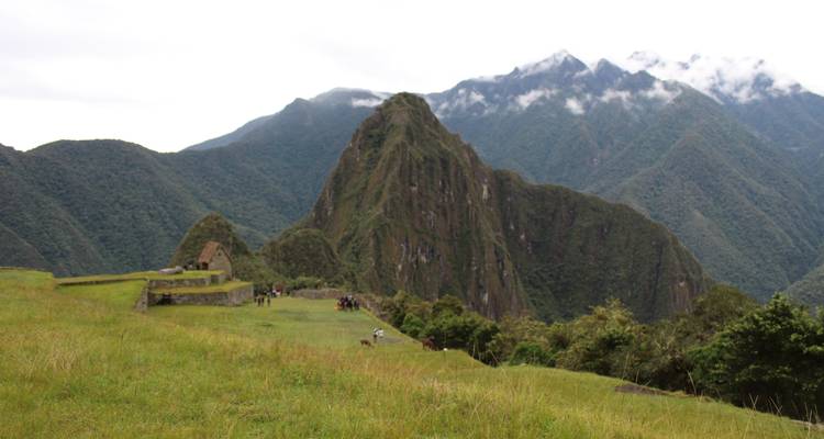 Classic Inca Trail Trek - Terres des Incas 8