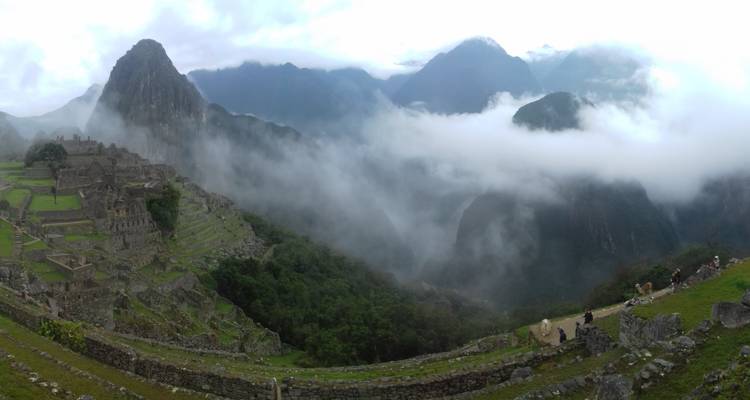 Jungle Inca - Terres des Incas 10