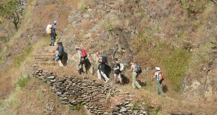 Jungle Inca - Terres des Incas 6