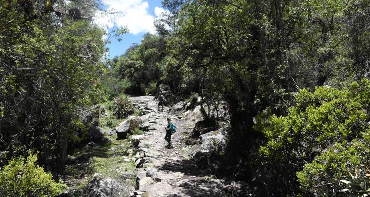 Turismo experiencial en la casa de los Lares - Terres des Incas 6