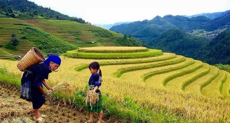 Circuit au nord du Vietnam : Hanoi - Sapa - Baie d'Halong - VietLong Travel 10