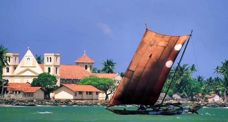 Private Sri Lanka Whale Watching Tour 2024 - Sri Holidays 4