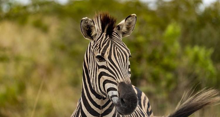3 jours à Durban, culture et faune - avec hébergement - Acacia Adventure Holidays 1