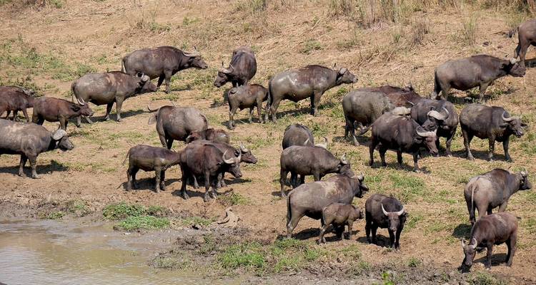 3 jours à Durban, culture et faune - avec hébergement - Acacia Adventure Holidays 2