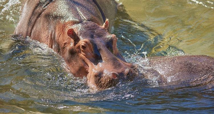 3 jours à Durban, culture et faune - avec hébergement - Acacia Adventure Holidays 6