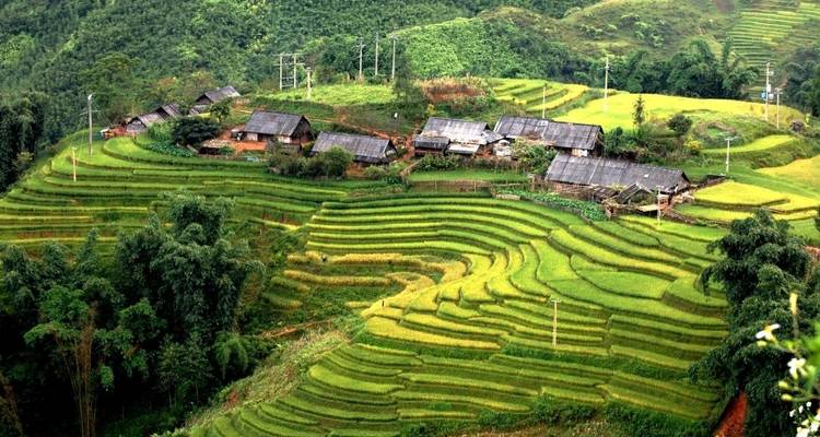 Taste of Vietnam Tour from Saigon to Da Lat, Nha Trang, Hoi An, Hue, Halong, Hanoi, Sapa - VietLong Travel 3