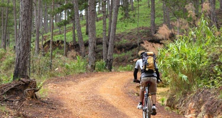 Vietnam Southern Tour in Focus from Saigon to Mekong Delta, Nha Trang and Da Lat - VietLong Travel 7