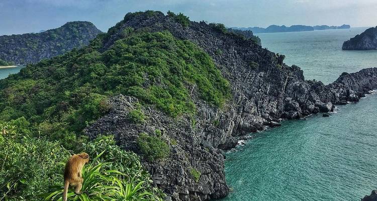 Vacances en famille au Vietnam : Hanoi, baie d'Halong, Da Nang, Hoi An, Saigon et le delta du Mékong - VietLong Travel 10