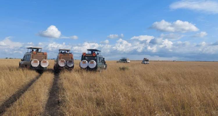 Verschillende safariauto's in een grasvlakte onder een blauwe hemel.