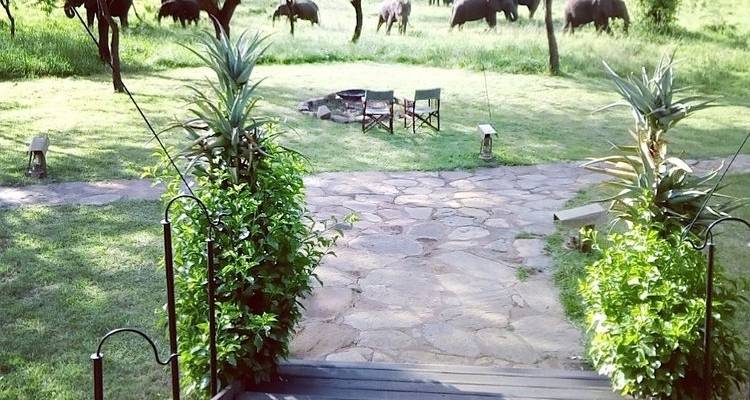 Safari en camping standard au Kenya dans la réserve de Masai Mara - 04 jours - Exciting Africa Holidays 6