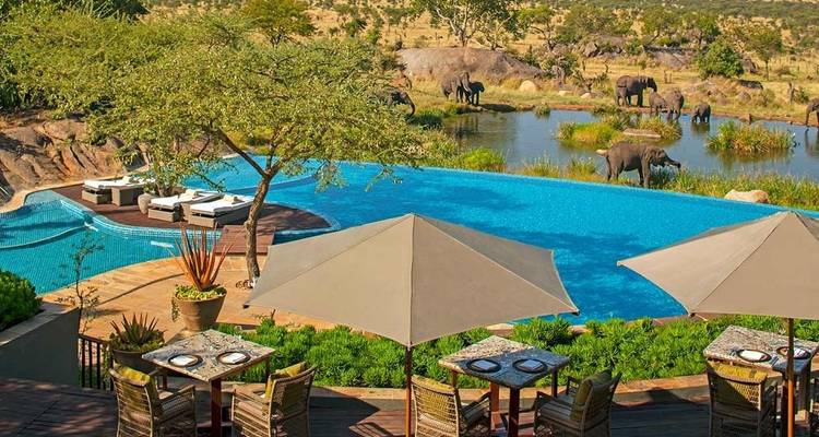 Safari lodge with a pool overlooking elephants and nature.