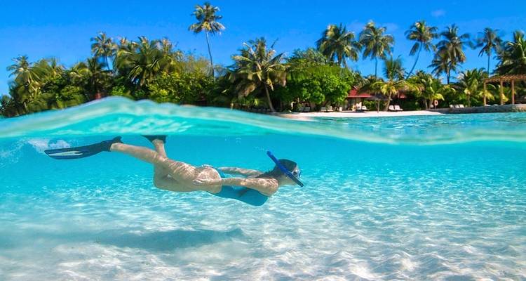 Person snorkeling in clear blue water near a tropical beach.
