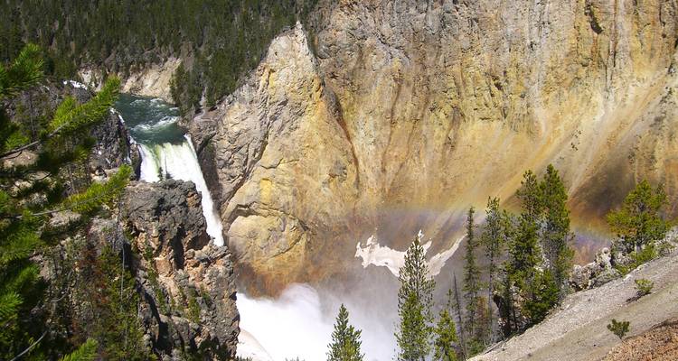 Circuit complet de 4 jours à Yellowstone et aux Tetons au départ de Salt Lake City - petits groupes - Bindlestiff Tours 4