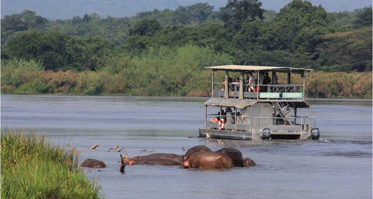 Vacances à Murchison Falls avec observation des Big 5 - Ovacado Adventures 3