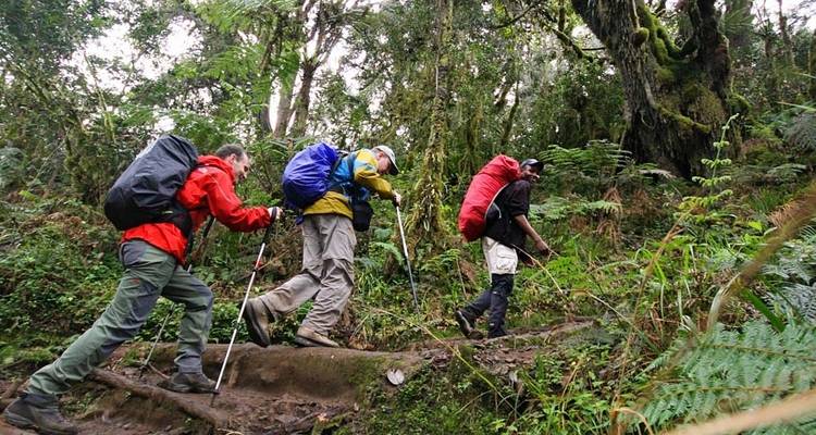 Lo mejor de Uganda - exclusivo - Ovacado Adventures 8