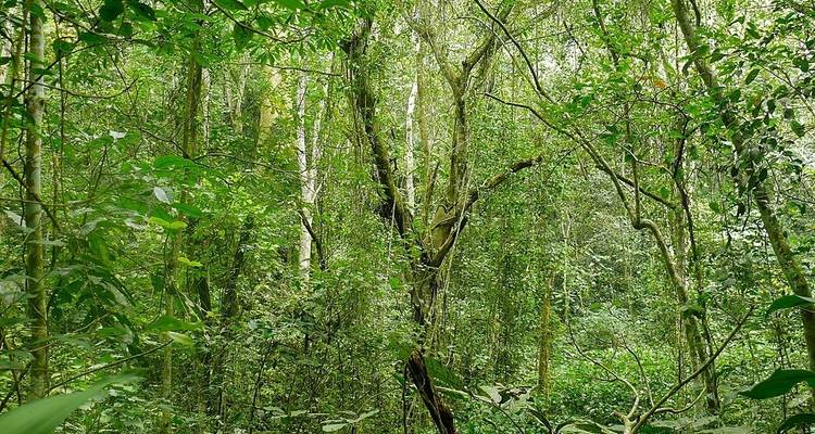 Lo mejor de Uganda - exclusivo - Ovacado Adventures 1