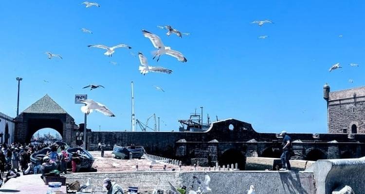 Marruecos desde Casablanca - 13 días / 12 noches - Morocco Custom Tours 8