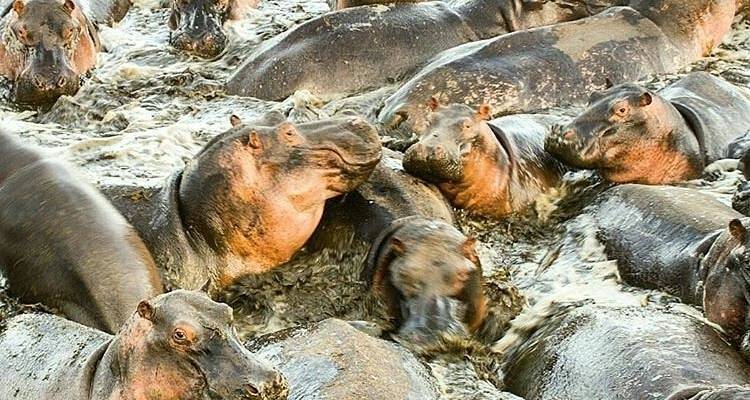 3 jours Tarangire, Ngorongoro Craeter et lac Manyara - Africa Outland Safaris 4