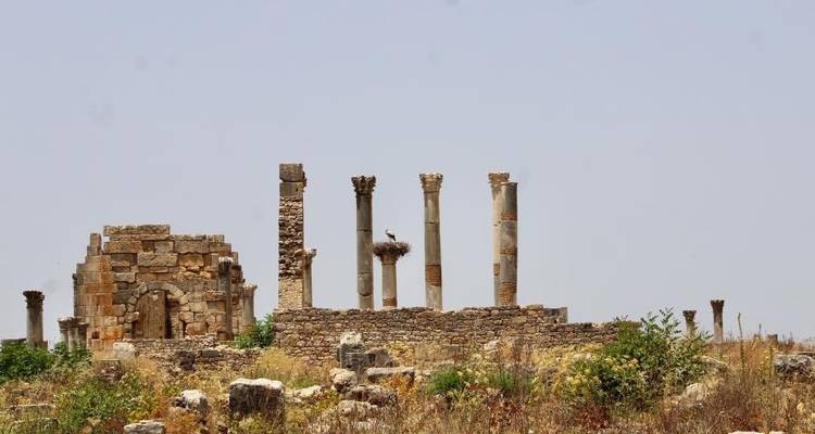 Echoes of Empire: Morocco’s Capitals Tour - Cultural Morocco Tours 8