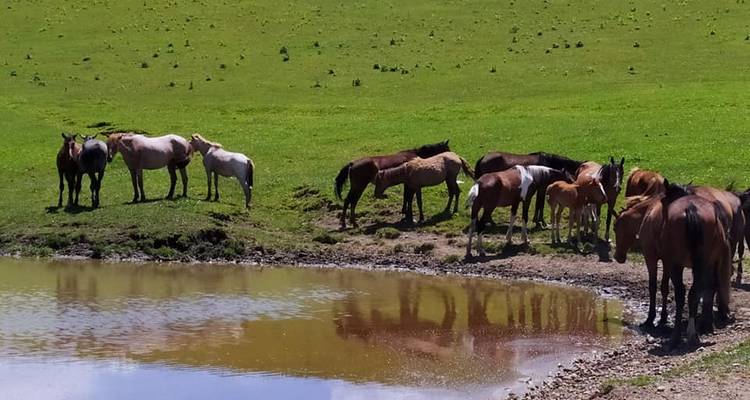 3-day tour to Son Kul and Bokonbaevo - Nomads Yurt 9