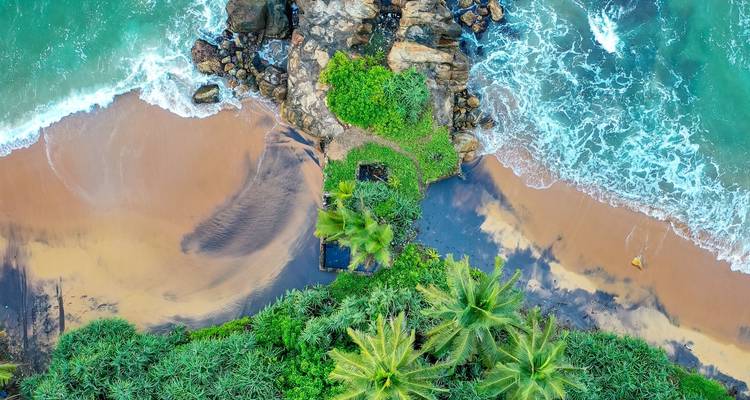 Aerial view of a beach with palm trees and surf