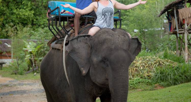 Person riding an elephant in a natural setting