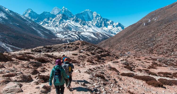 Eine Gruppe von Wanderern, die auf ein entferntes Gebirge zugeht.