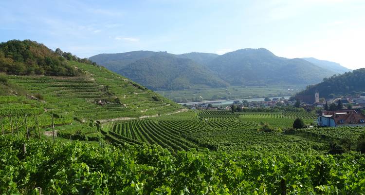 World Heritage Trail Wachau - Eurohike 9