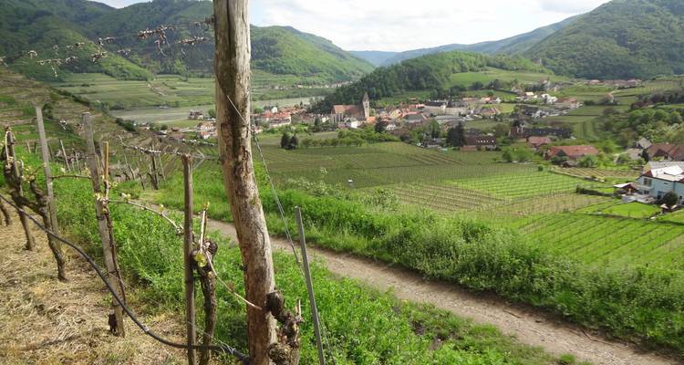 Sentier du patrimoine mondial de la Wachau - Eurohike 3