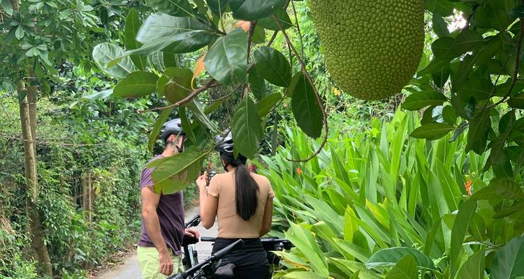 Mekong Delta Bicycle Tour 1 day - Vietnam By Bike 7