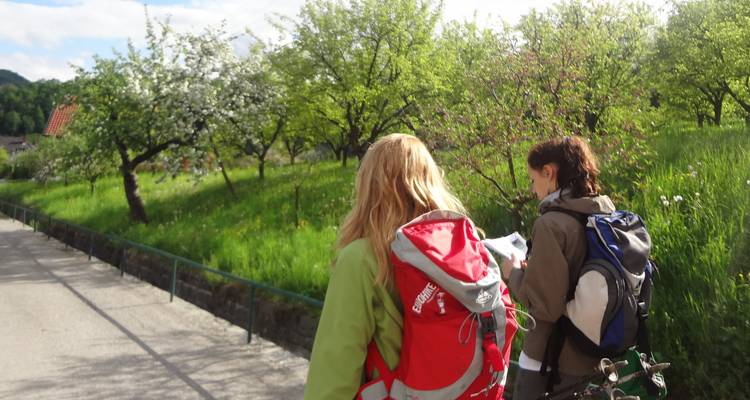 World Heritage Trail Wachau with Charm - Eurohike 3