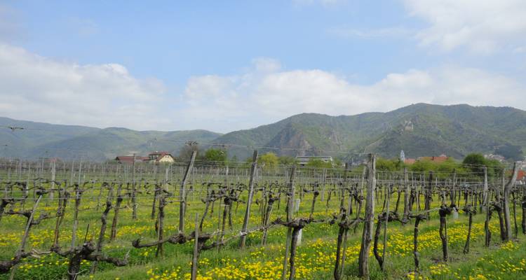 World Heritage Trail Wachau with Charm - Eurohike 9