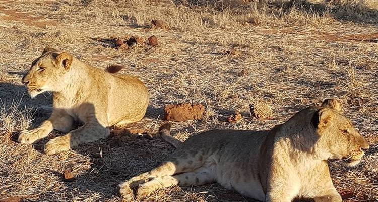 8 Days Victoria Falls, Chobe & Delta - Little Roz Tours 9