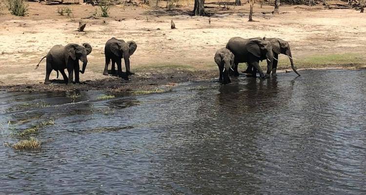 8 Days Victoria Falls, Chobe & Delta - Little Roz Tours 8
