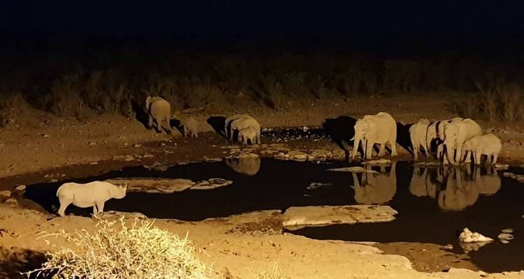 8 Days Victoria Falls, Chobe & Delta - Little Roz Tours 4