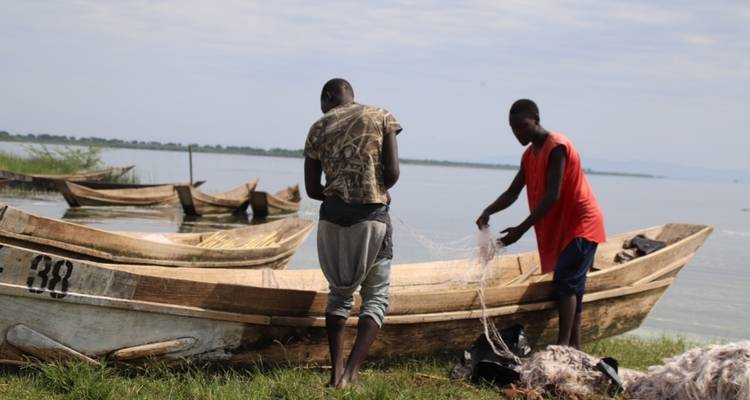 2 jours d'excursion à la rencontre des gorilles, safari économique en Ouganda - Bamboo Ecotours 4