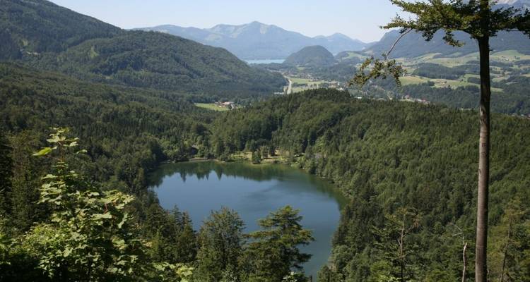 Senderismo de placer en el Salzkammergut encantador5/4 - Eurohike 7