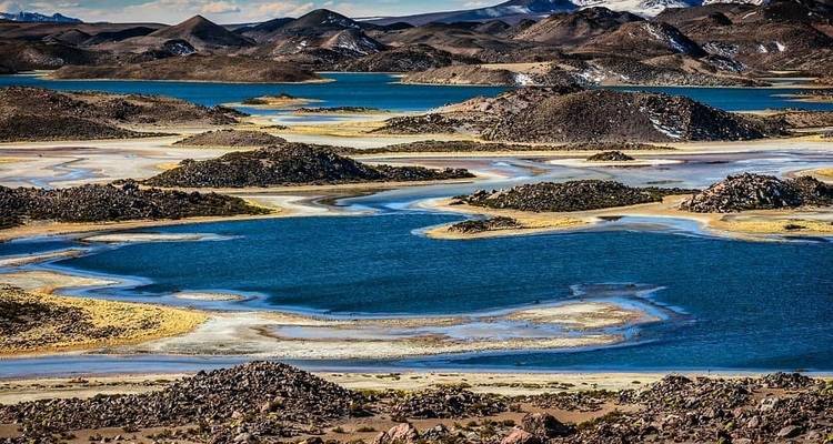 5 jours d'expérience unique sur le haut plateau chilien - Altiplano chilien - Signature DMC 1