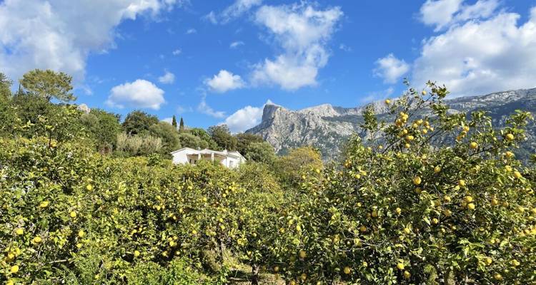 Finca de Majorque - Le charme à l'état pur - Eurohike 1