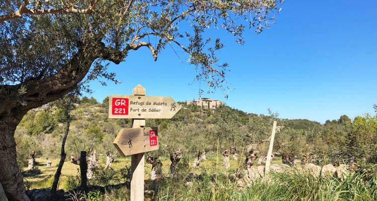 Finca de Majorque - Le charme à l'état pur - Eurohike 3
