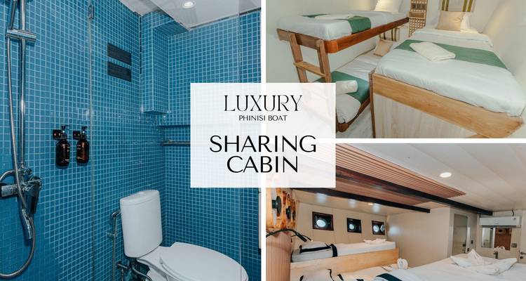 Collage montrant les détails de la cabine partagée et de la salle de bain sur un navire de luxe avec superposition de texte.