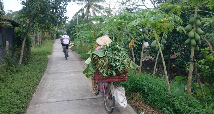 Twee fietsen op een smal pad door weelderig groen.