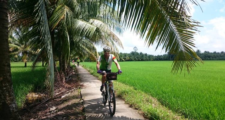 Fietser rijdend langs groene rijstvelden, onder palmbomen.