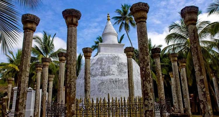 Private Sri Lanka Budget Tour 2024 - Sri Holidays 2
