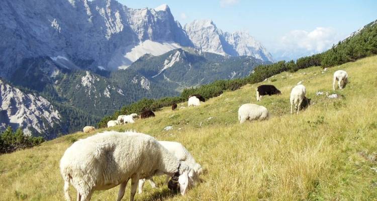 Trans Tyrol : Garmisch - Innsbruck - Eurohike 3