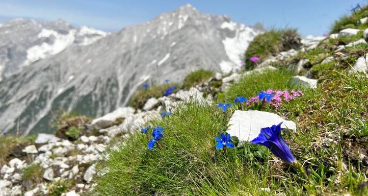 Trans Tyrol : Garmisch - Innsbruck - Eurohike 10