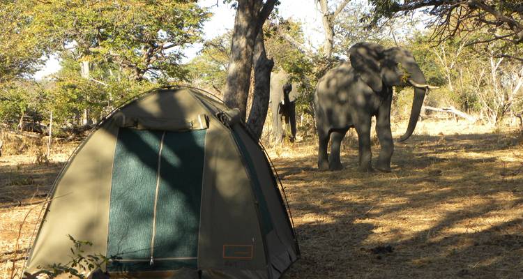 Botswana Wild Side - Sunway Safaris 4