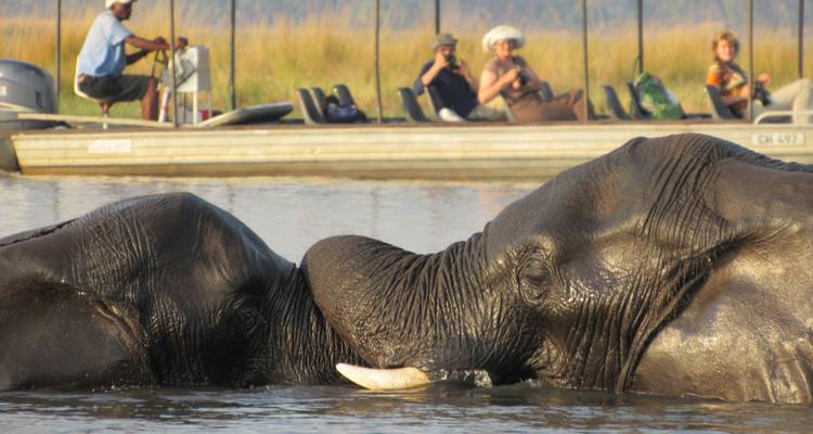 Botswana Wild Side - Sunway Safaris 6
