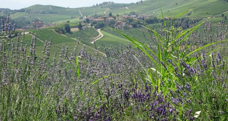 Piamonte - Liguria 8/7 - Eurohike 3