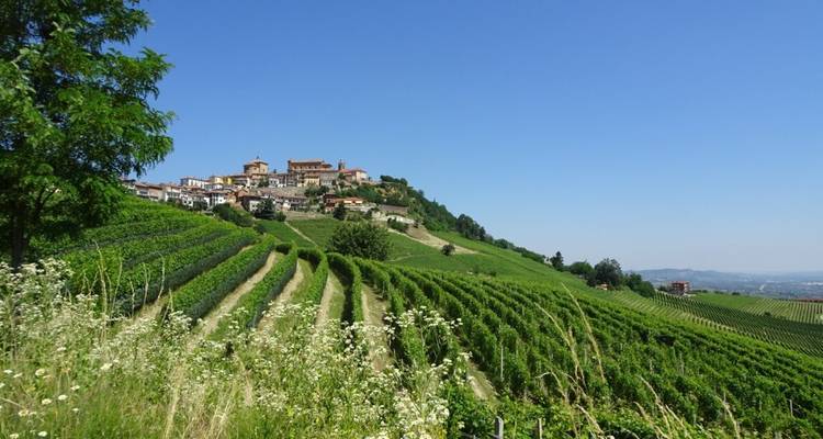 Piamonte - Liguria 8/7 - Eurohike 7